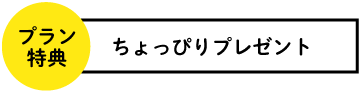プラン特典　ちょっぴりプレゼント