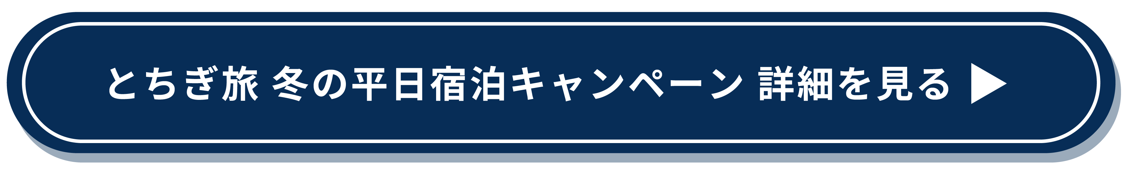 キャンペーン詳細ボタン