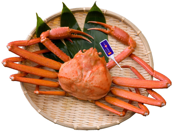 極上 高志の紅ガニ