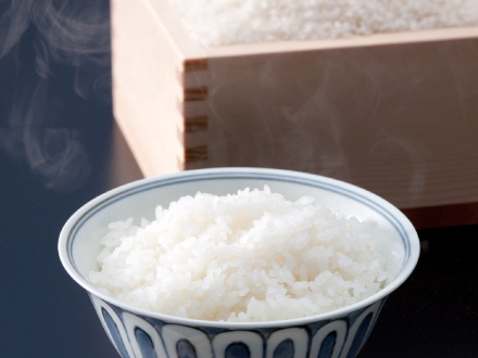 富山の米