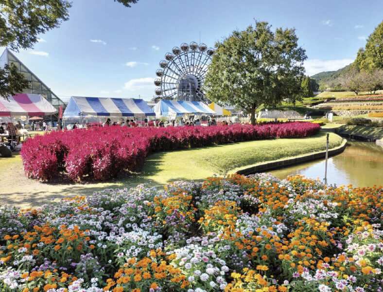 やまぐちフラワーランド　イメージ