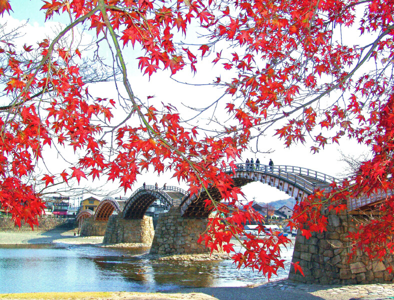 錦帯橋　イメージ