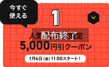 �l�C22�{�݌���5,000�~���N�[�|��