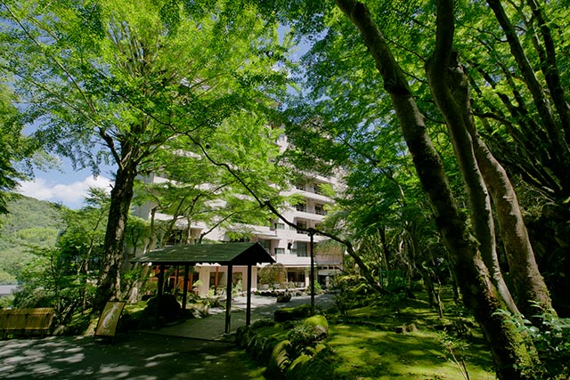 宙・SORA 渡月荘金龍（静岡県・伊豆