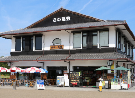 �摜�F���c�̔n��