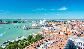 ������̎��̂�a�C�ɂ���������⏞�ň��S�ł���u�C�O���s���Q�ی��v�t��