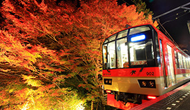 JTB���J�[�h���p�Ȃ獑�����s�ɂ��u���Q�ی��v���Z�b�g��