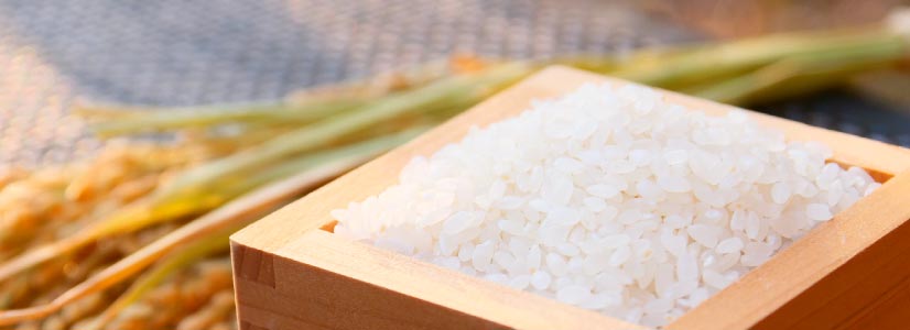 �摜�F����