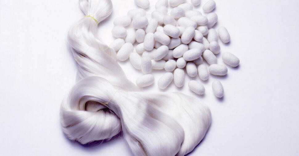 上質な岡谷のシルク　写真提供＝岡谷市ブランド推進室