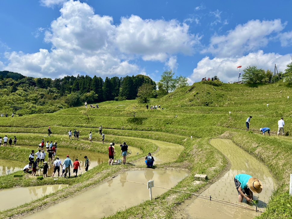 「大山千枚田保存会」棚田オーナー制度の田植えの様子