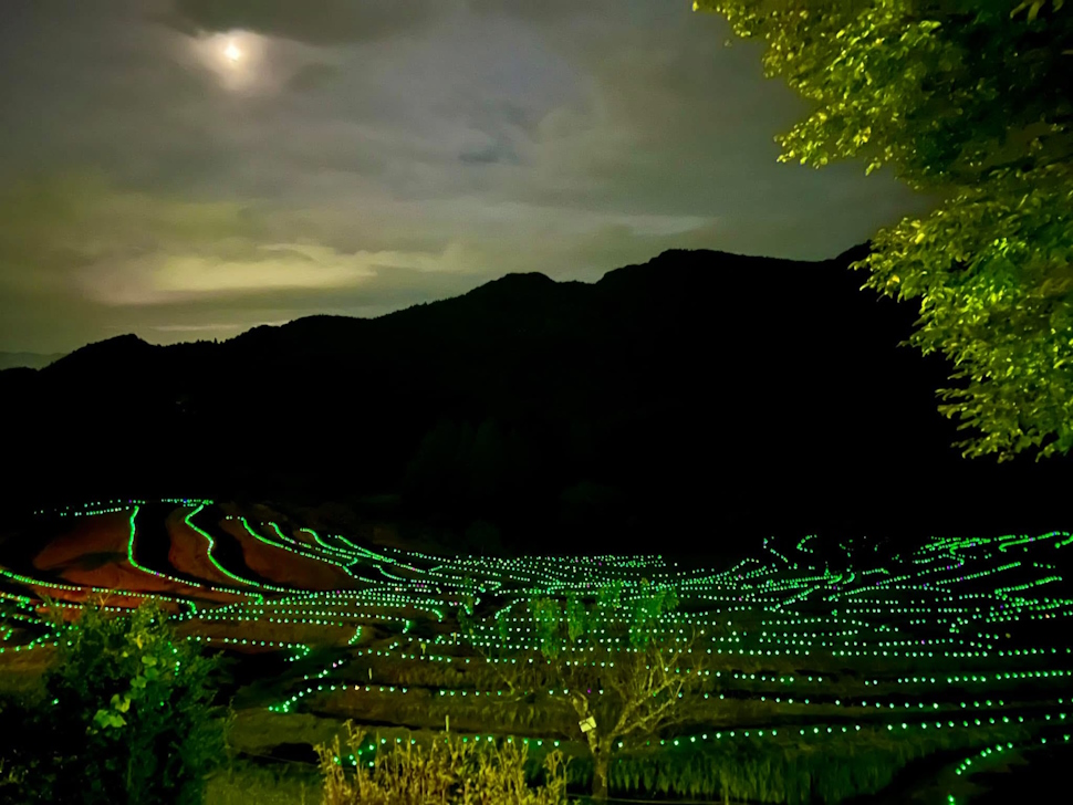 「棚田のあかり」