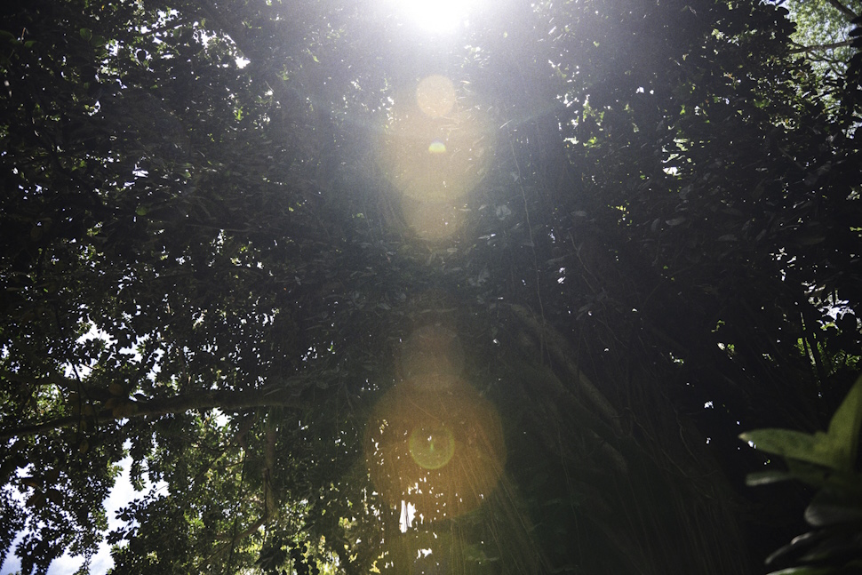 優しい光が差し込んでくる