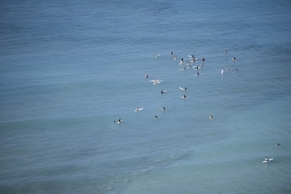 サーフィンを楽しむ人々