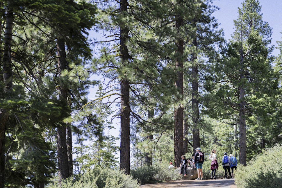 ハイキングトレイル