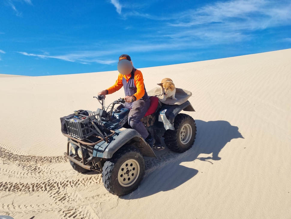 砂丘を車やバイクで駆け抜ける
