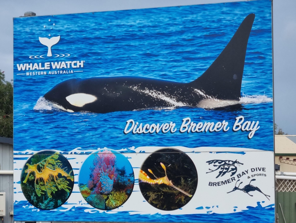 人気のアクティビティ