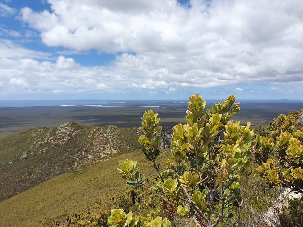 フィッツジェラルドリバー国立公園