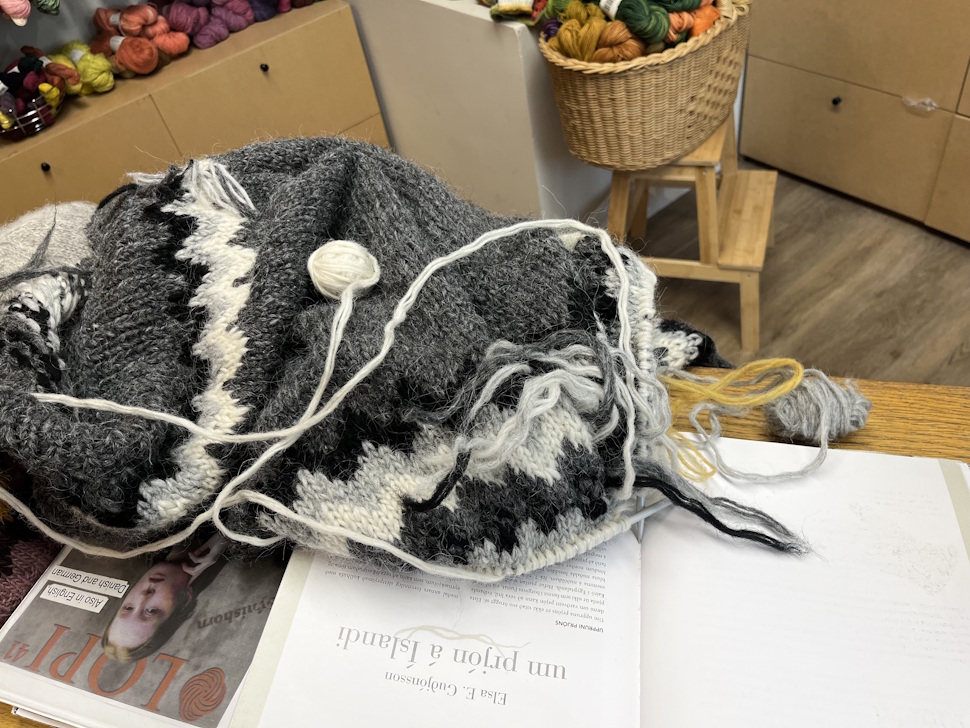 作っている途中のセーターを見せてくれた。まさに手仕事というより指仕事