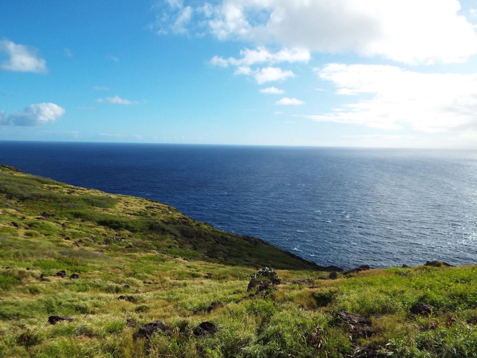 どこまでも続く青い太平洋の絶景が楽しめる