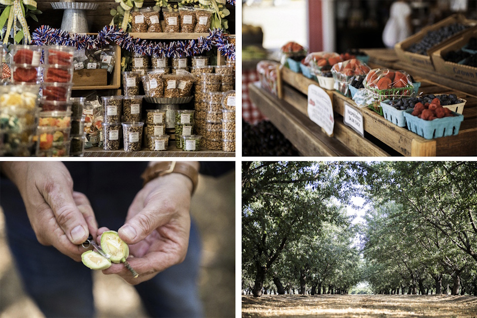 新鮮なフルーツや野菜がかわいいパッケージで売られ、ローストナッツの味の種類も豊富。実を割ると中からは種子の「生」アーモンドが出てくる（左下）