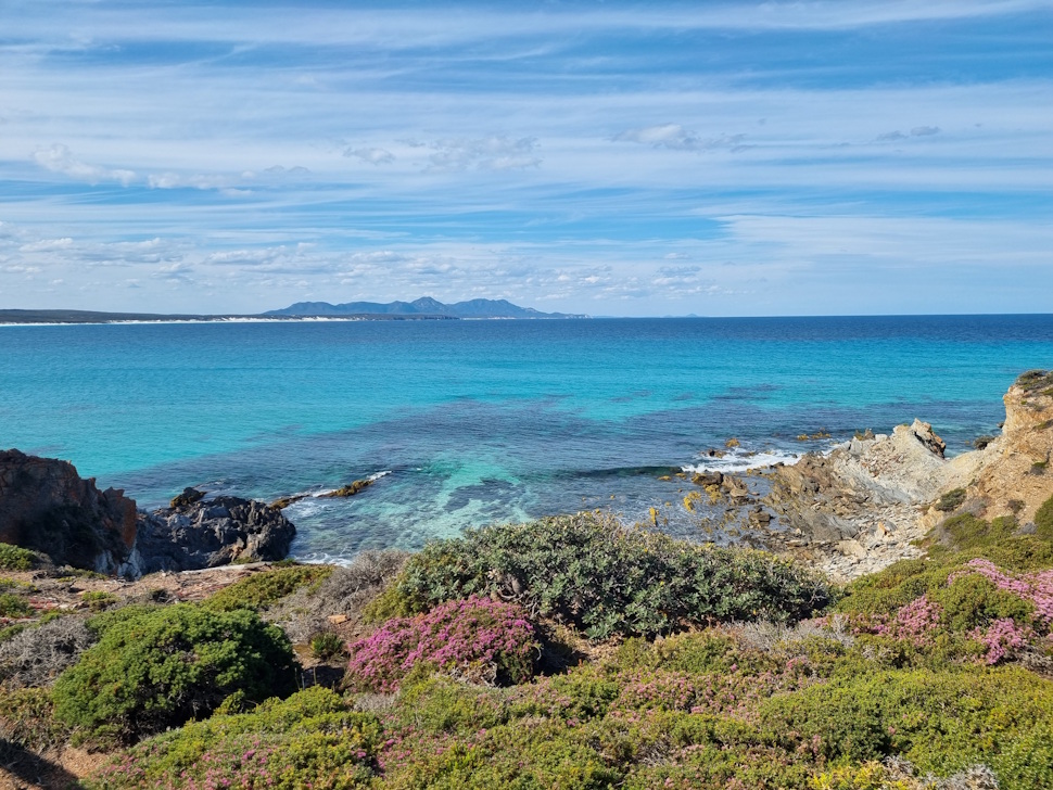 フィッツジェラルドリバー国立公園