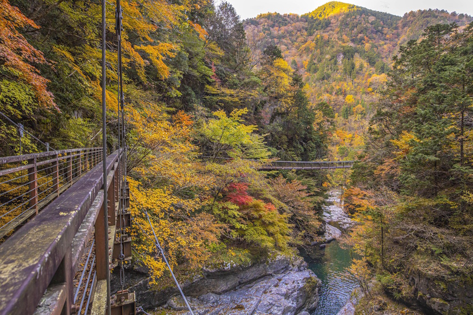 奈良県　吉野熊野国立公園　みたらい渓谷