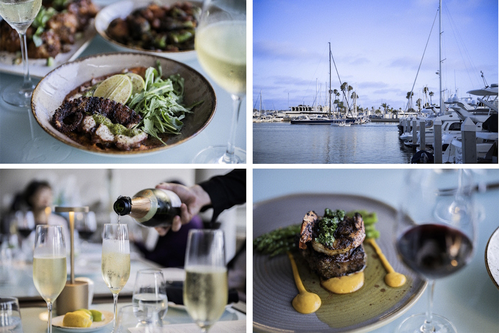 スペイン風ソースが添えられた炭火焼きのタコは白ワインとの相性が最高