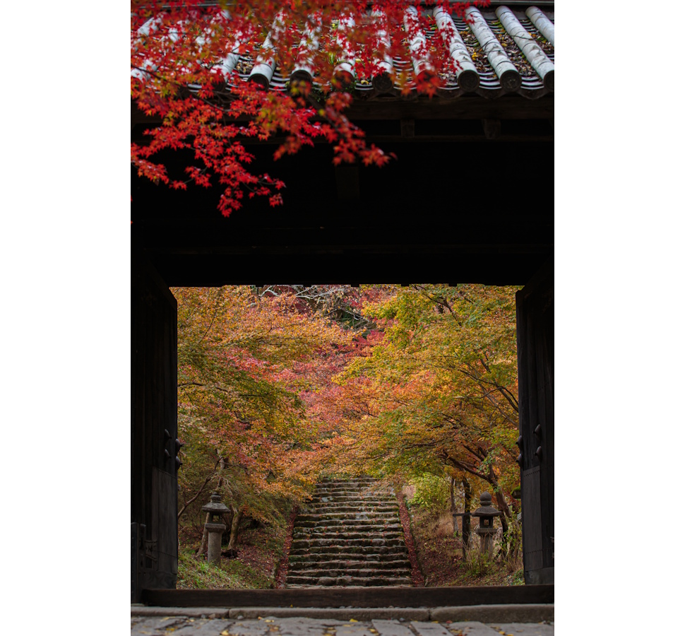 垂裕神社へ続く参道