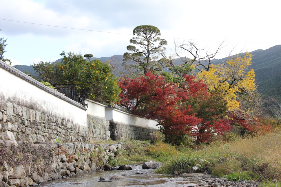 野鳥川沿いの小道　寅さんロード