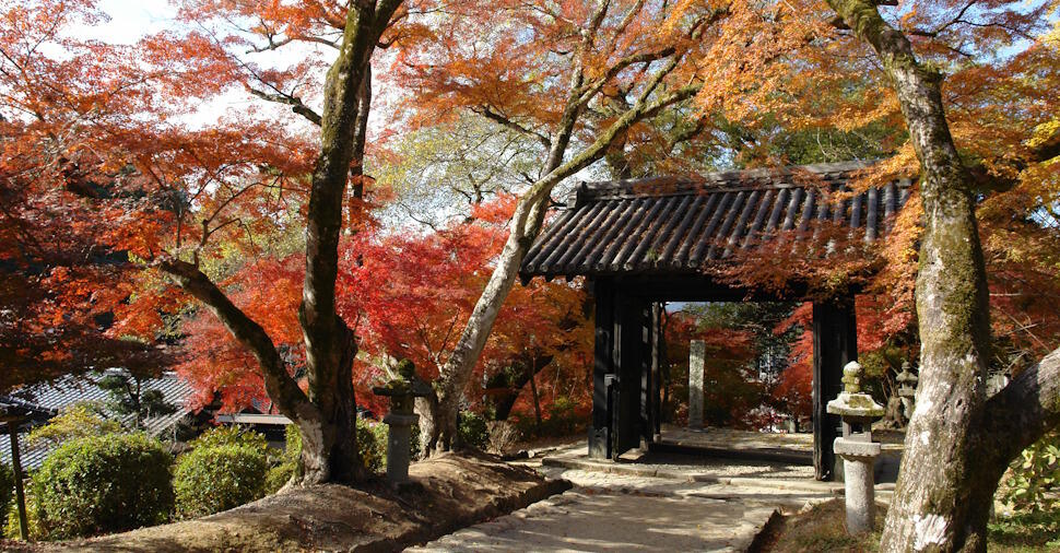 秋月城跡 写真提供:朝倉市商工観光課