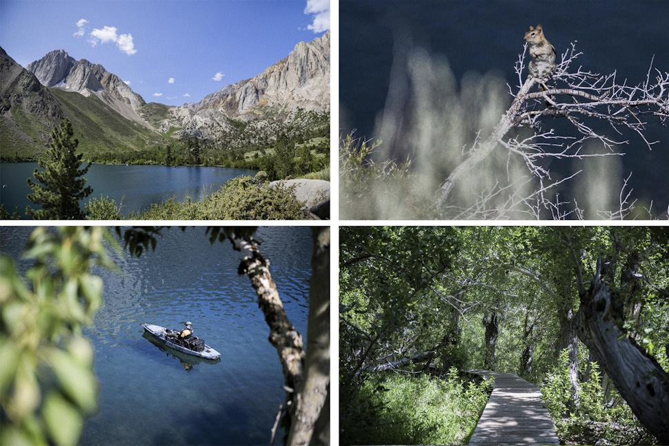 チップモンクと言われるリスにも遭遇（右上）。ボート乗りや、ハイカー、釣り好きの人も訪れる