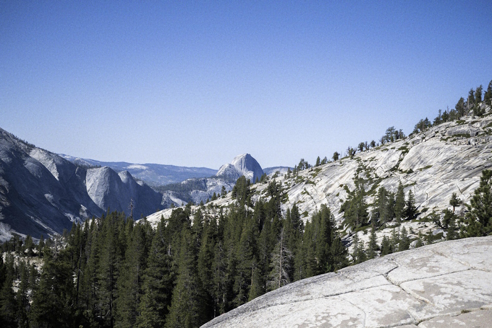 裏側の「ハーフドーム」。正面から見える厳かな壁と異なり、とんがり帽子のようで愛嬌がある。