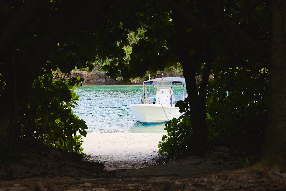 緑のトンネルを抜けると、目の前に広がるコバルトブルーの海
