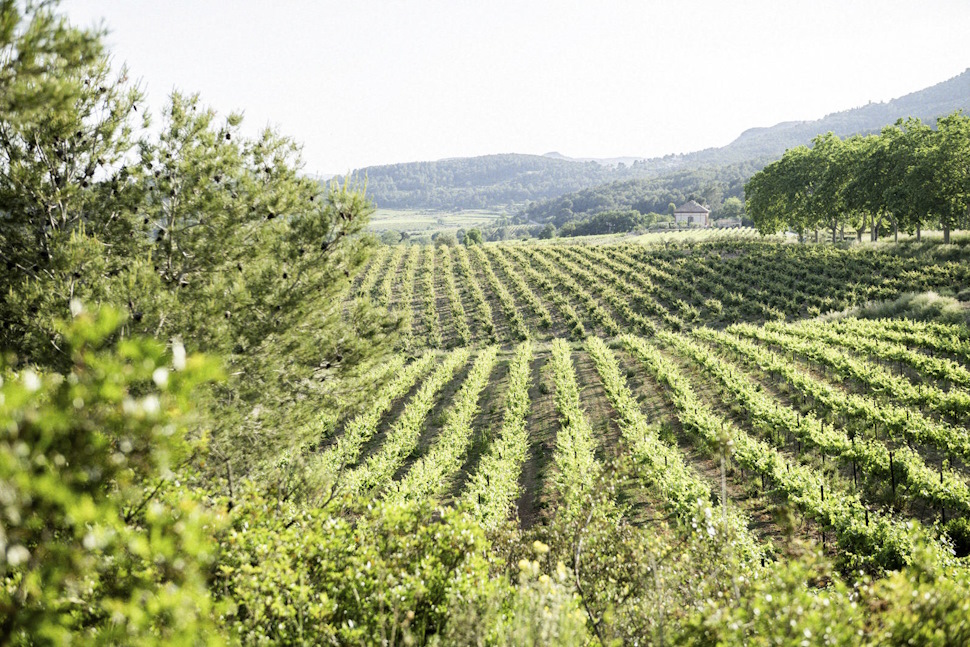 ワイン名産地ペネデス地方