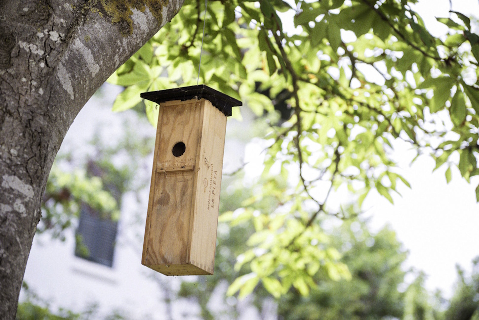 ワイナリー「コドルニウ」