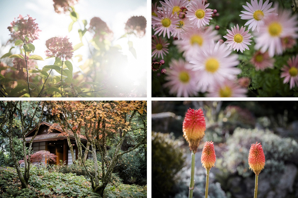 日本では見たことのない植物や、馴染みのある花を見かけた。（左下）茶室のような東屋もあった