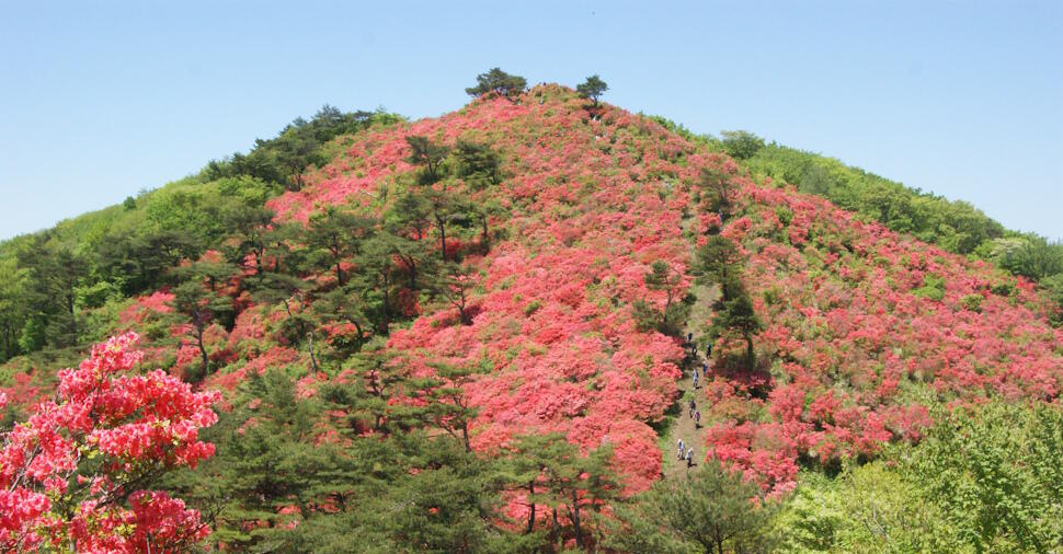 おまつり広場から山頂を望む