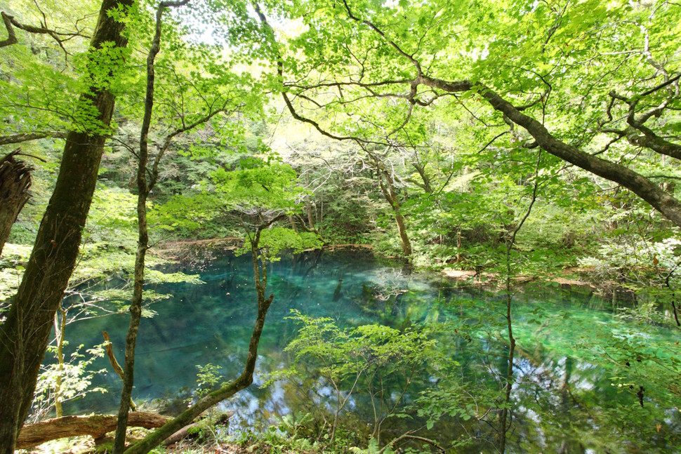 沸壺の池