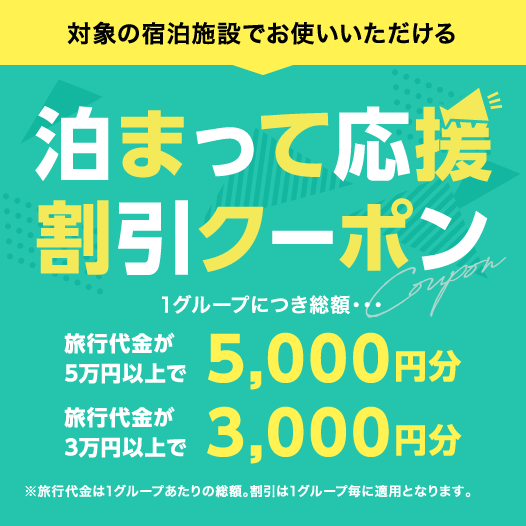 Ώۂ̏h{݂łg ܂ĉN[| 1O[vɂzEEE s5~ȏ5,000~ s3~ȏ3,000~ s1O[v̑zB1O[vɓKpƂȂ܂B