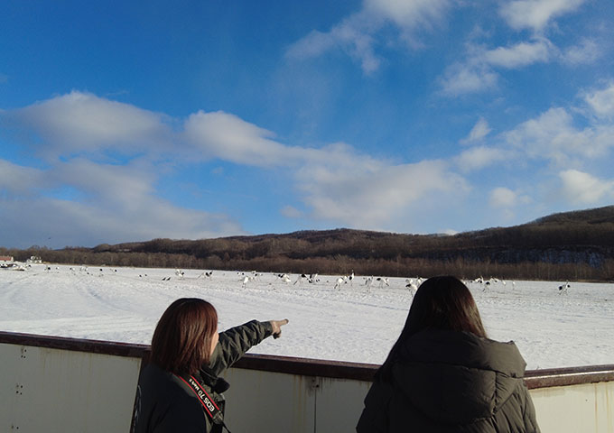 ガイドさんの屋外での説明
