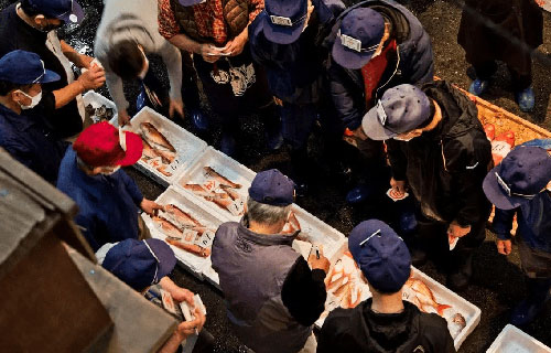 朝の熱海を探索！熱海魚市場特別セリ見学＋あら汁ご賞味付プラン（イメージ）