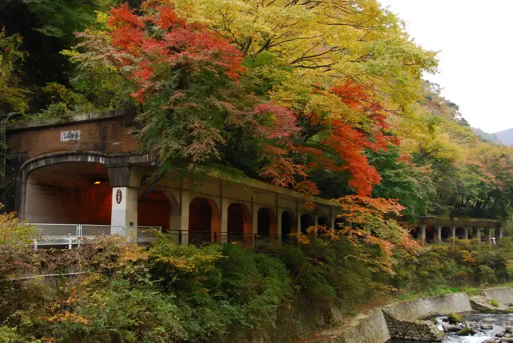 塔ノ沢