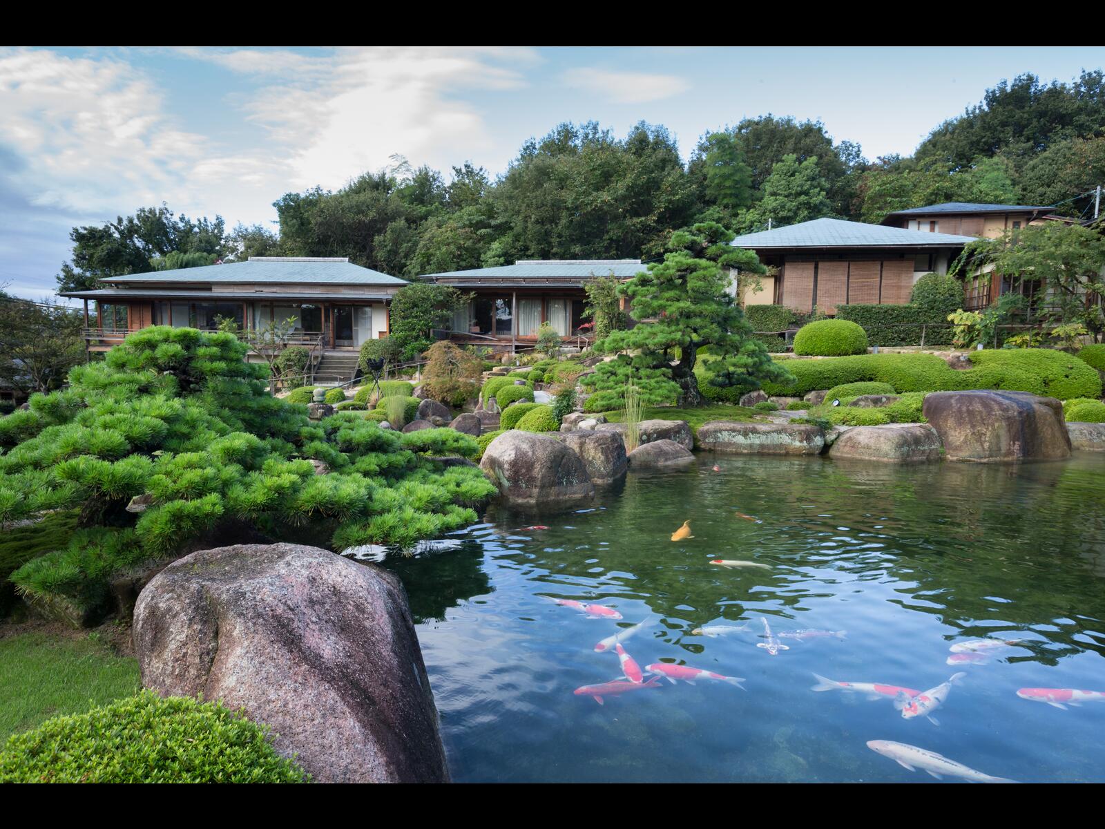 当時のメディア報道・掲載写真