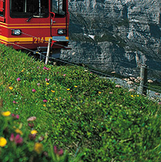 Switzerland�`�X�C�X�`
