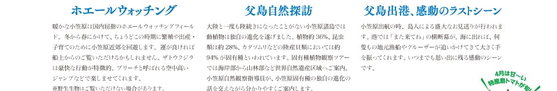 ���}���o�q�̎��A���l�ɂ�鐷��Ȃ������肪�s���܂��B�`�ł́u�܂����Ăˁv�̉��f�����B�C�ɏo��΁A���ǂ��̒n�����D��N���[�U�[���ǂ������Ă��đ傫�����U���Ă���܂��B���܂ł��v���o�Ɏc�銴���̃V�[���ł��B