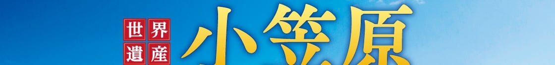 ���E��Y ���}�� �������E���V�� ���V�N���[�Y6����