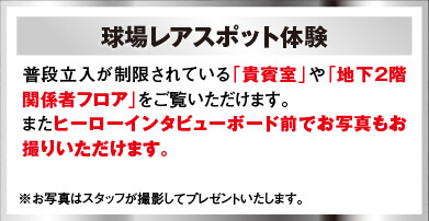 球場レアスポット体験