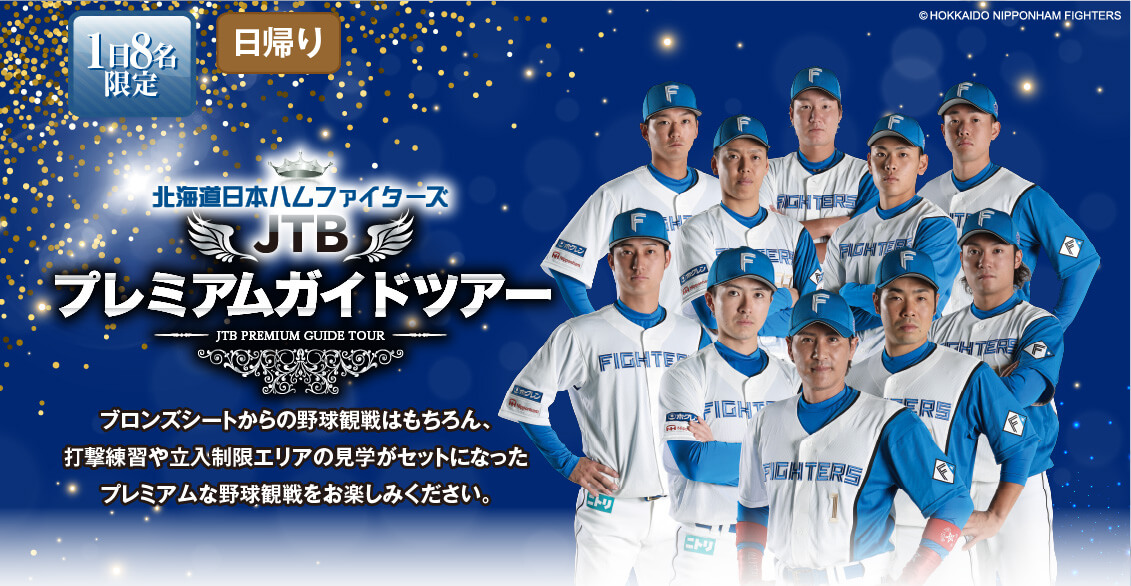 �k�C�����{�n���t�@�C�^�[�Y JTB�v���~�A���K�C�h�c�A�[