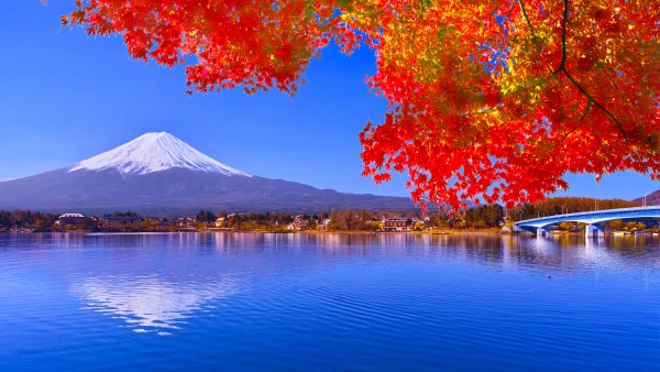 紅葉と富士山