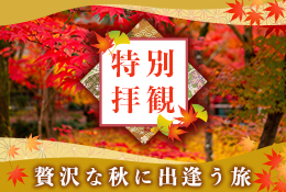 紅葉ロイ銀